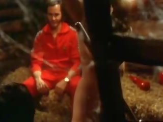 Die Bett-Hostessen 1973 (Group sex clip fascinating scene)